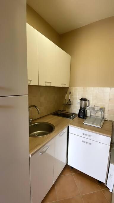Stunning Lake And Mountain Views - Velkoski Apartments Ohrid Exteriör bild